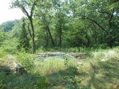 a view of outdoor space and trees