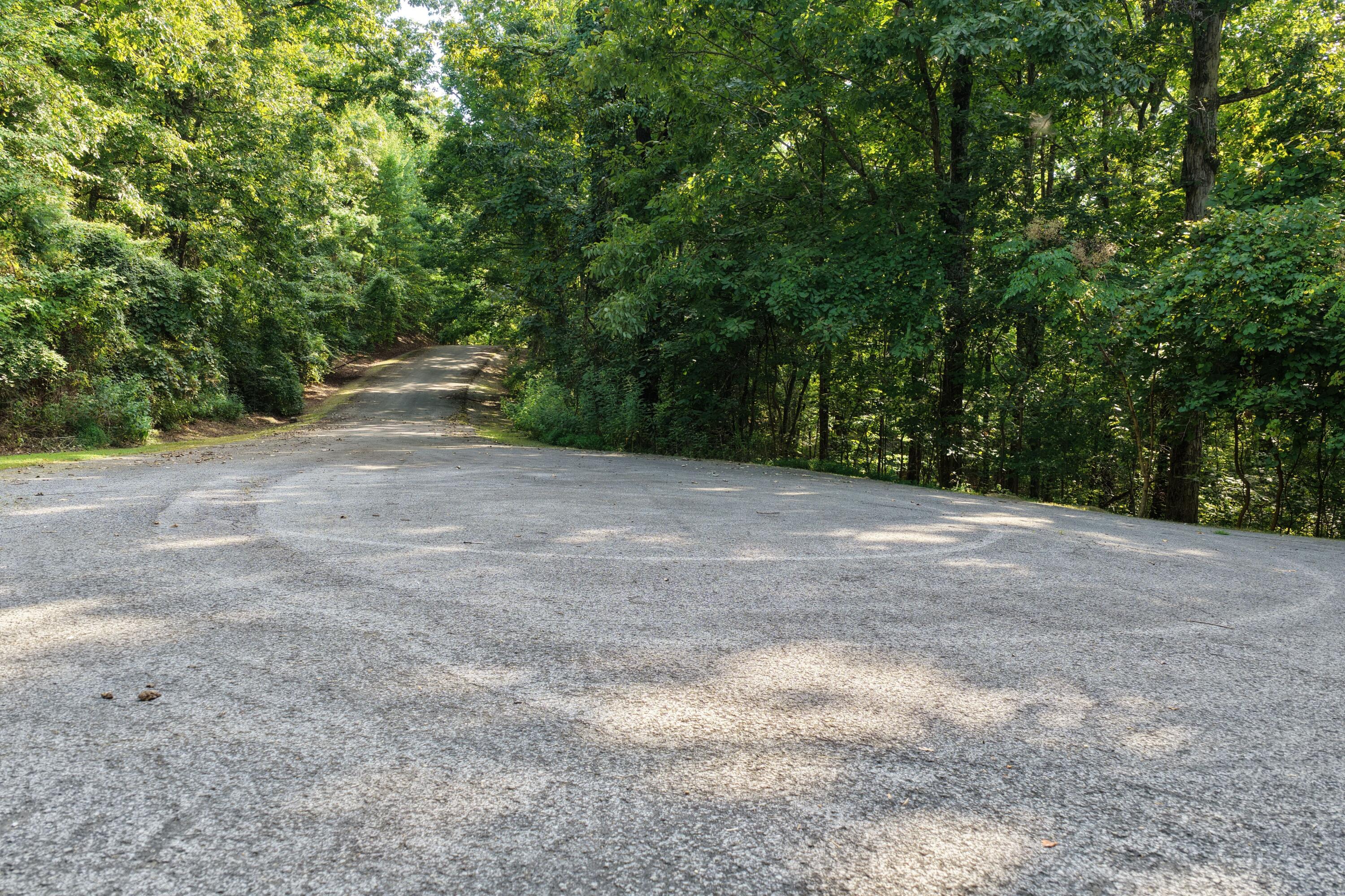1 Bluffs Road North Guild, TN 37340 - Photo 42 of 52 BEVAP (40)