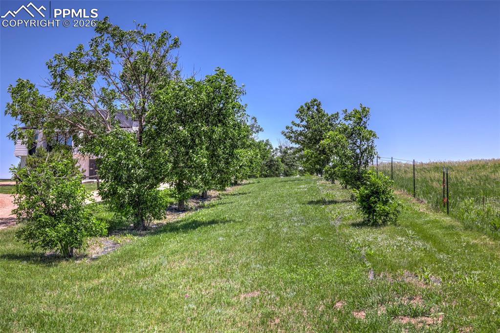 18135 Spur Ranch Road Peyton, CO 80831 - Photo 50 of 50