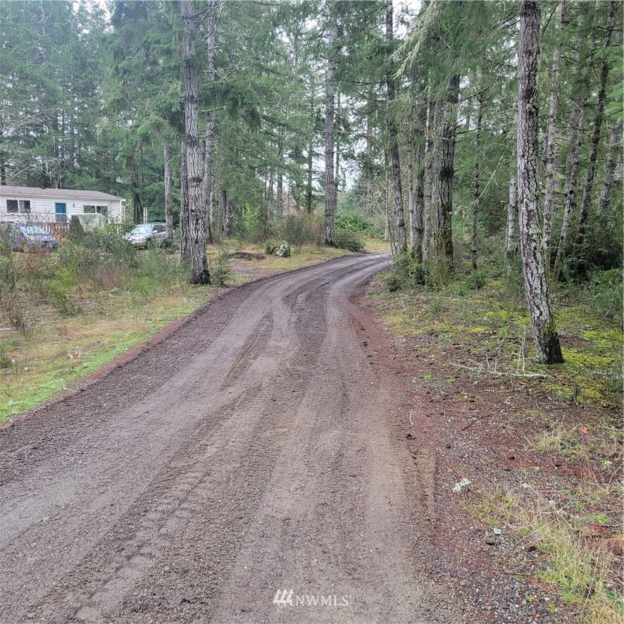 1474 East Grapeview Loop Road Grapeview, WA 98546 - Photo 4 of 8 Gallery Image 4