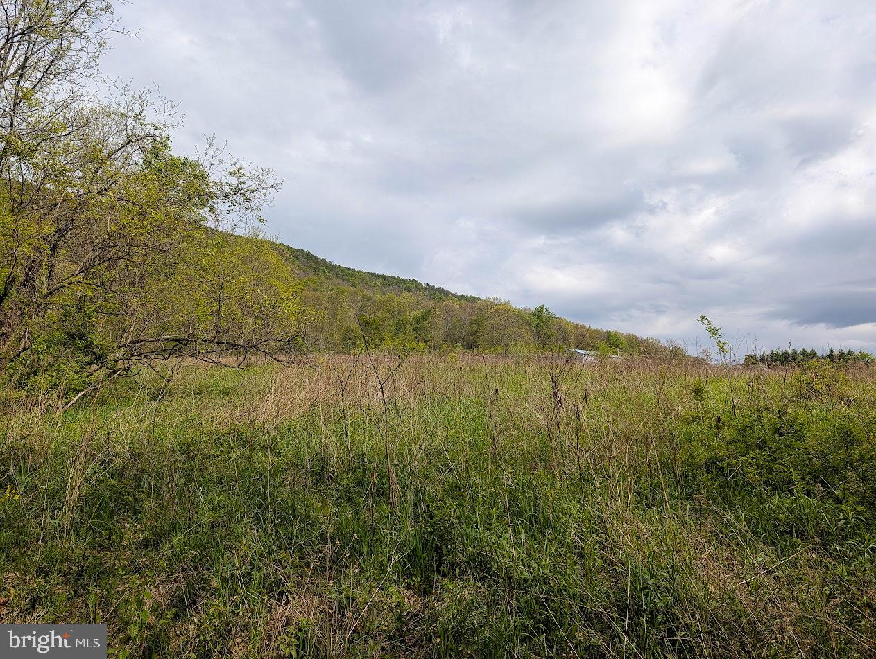 119 Heavens Vw Road Schellsburg, PA 15559 - Photo 13 of 35