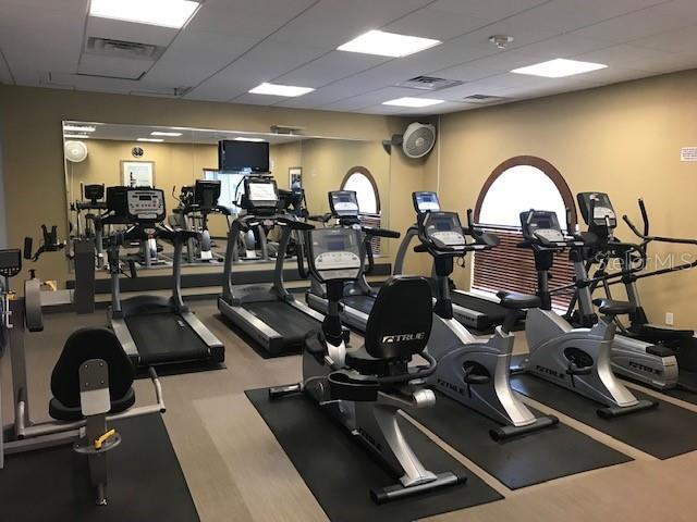 11826 Dumaine Valley Road Riverview, FL 33579 - Photo 53 of 54 a room with gym equipment and window