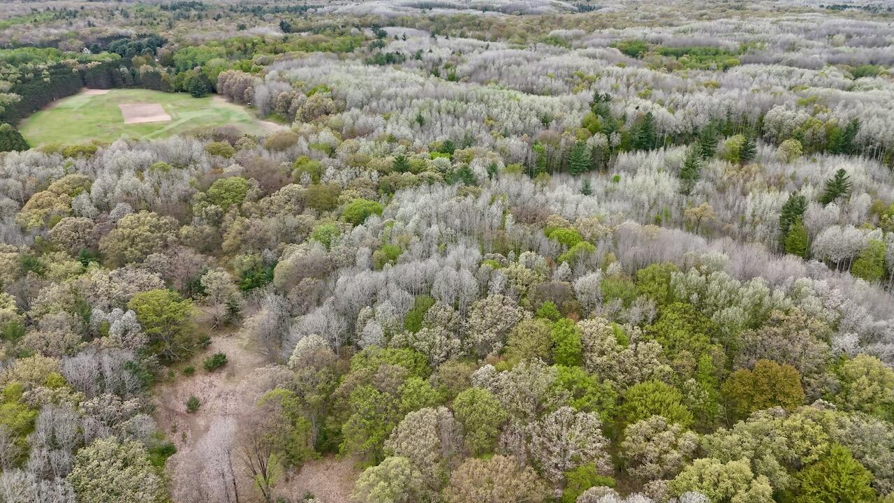 6153 South Branch Road Branch, MI 49402 - Photo 41 of 70 34