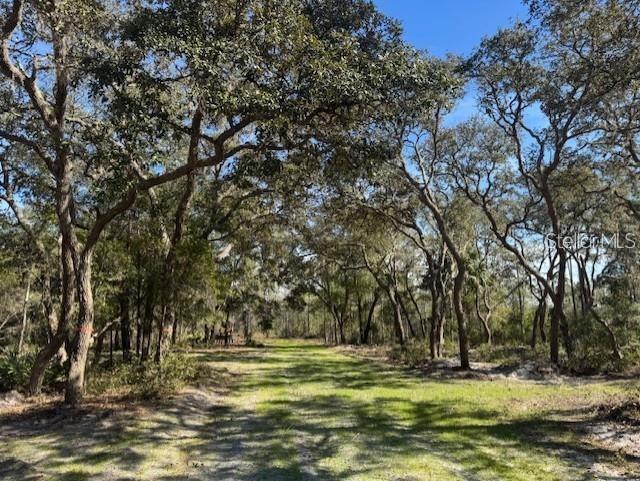 Northeast 150th Avenue Road Fort McCoy, FL 32134 - Photo 4 of 48 Gallery Image 4