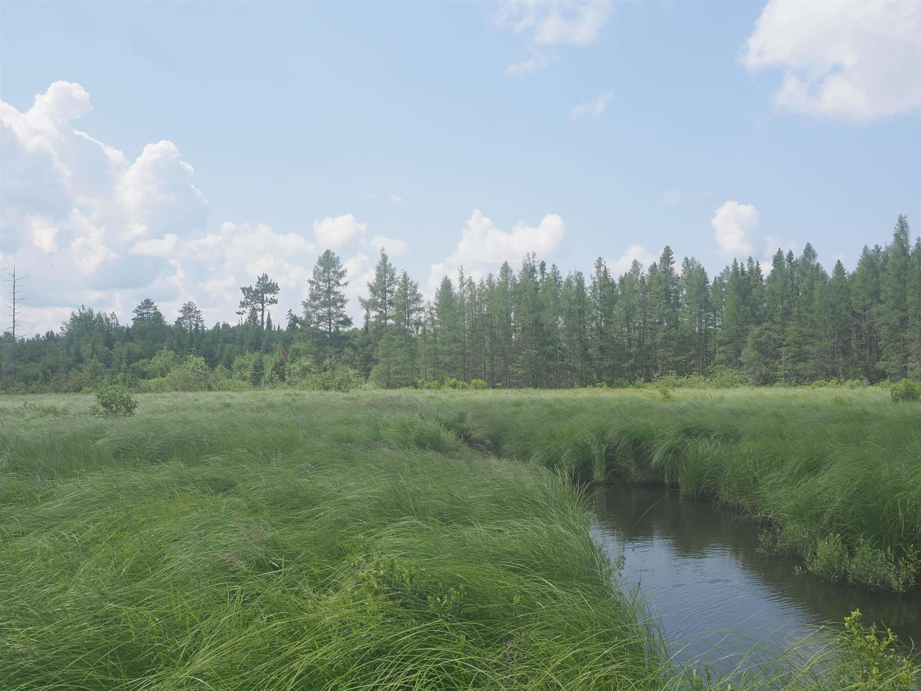 0 County Road Ishpeming, MI 49849 - Photo 4 of 85