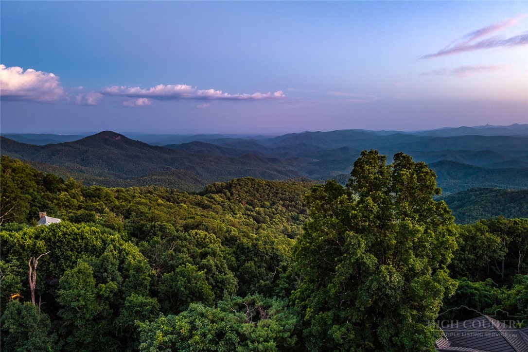 403 Laurel Park Road Blowing Rock, NC 28605 - Photo 4 of 46