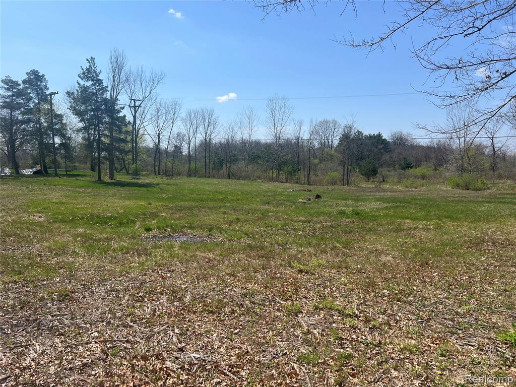 0 North Latson Road Howell, MI 48843 - Photo 3 of 6