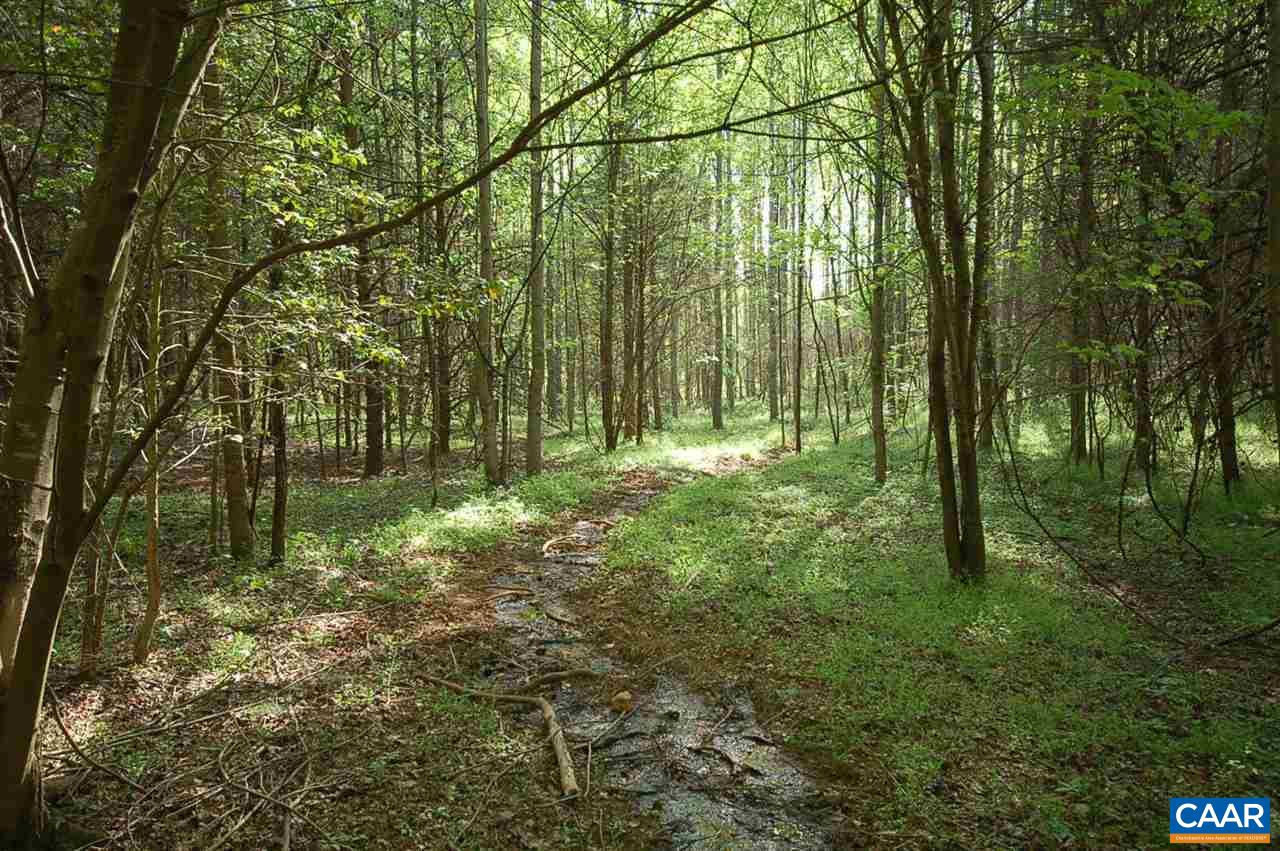 Lot 5 Lamm Road Ruckersville, VA 22968 - Photo 4 of 10 a backyard of a house with lots of green space