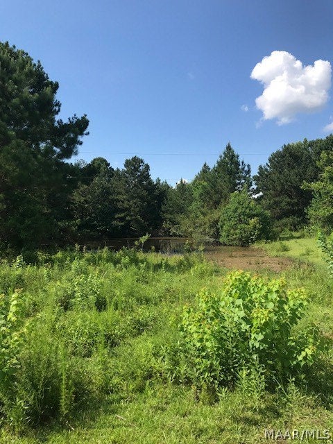 355 Merritt Hay Road Lapine, AL 36046 - Photo 7 of 13 Gallery Image 7