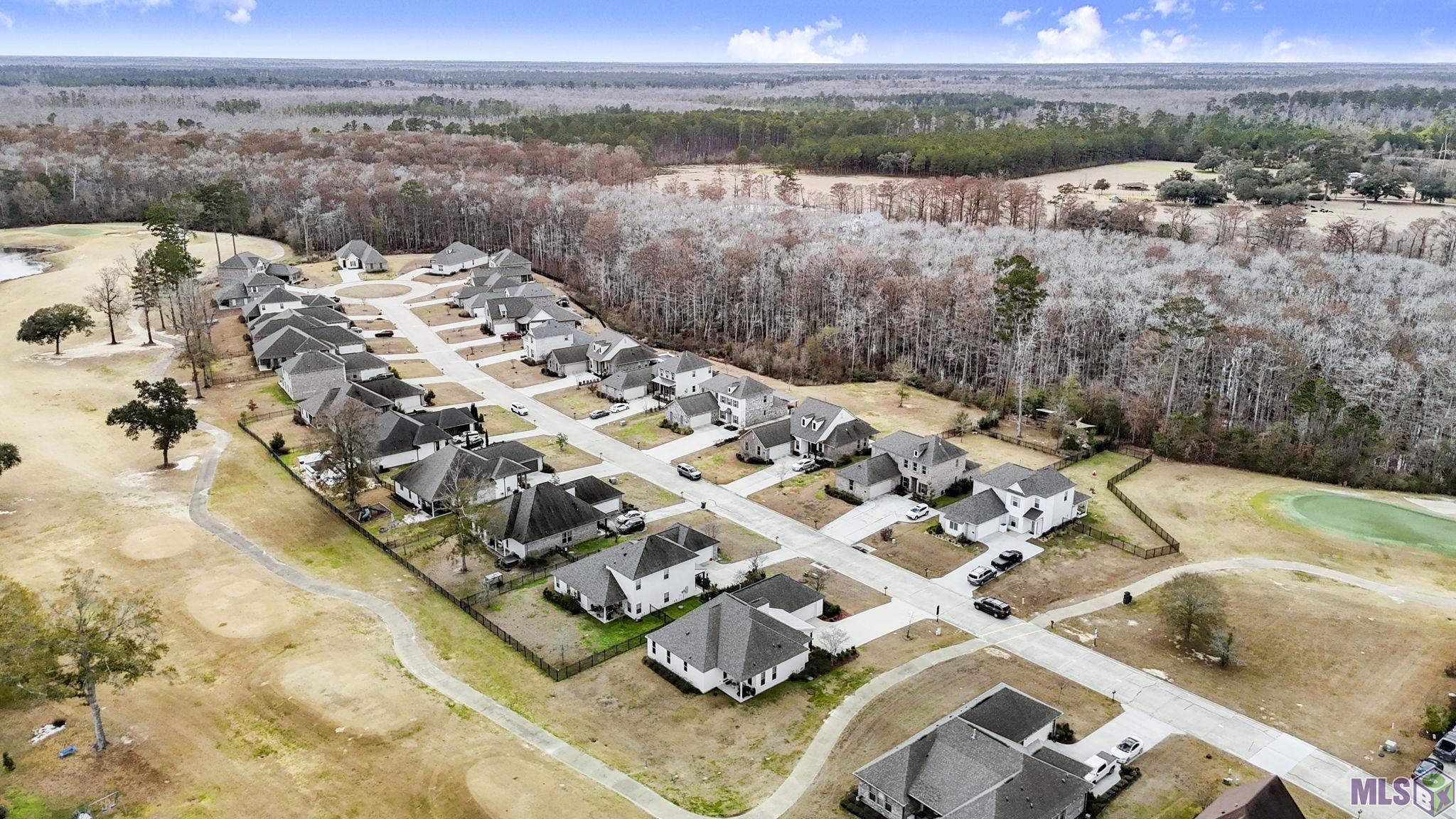 23373 Cypress Cove Springfield, LA 70462 - Photo 40 of 51