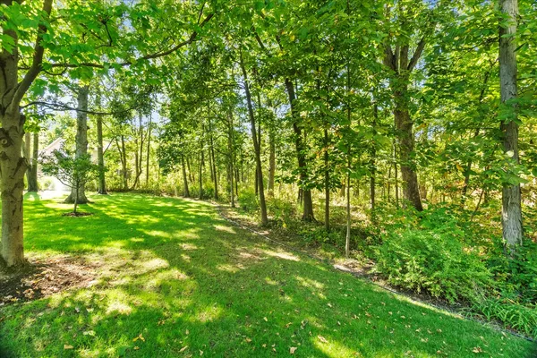 $625,000 | 3540 Haweswood Court, Crete, IL 60417