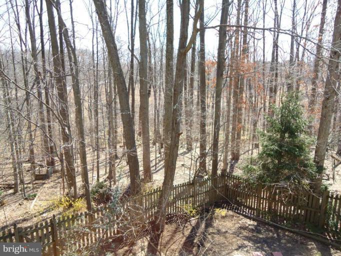 8459 Rushing Creek Court Springfield, VA 22153 - Photo 20 of 20 Deck - View from
