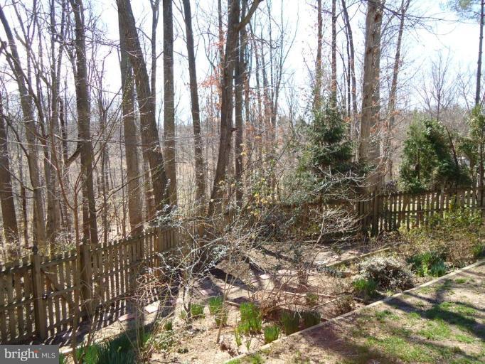 8459 Rushing Creek Court Springfield, VA 22153 - Photo 10 of 20 Back yard