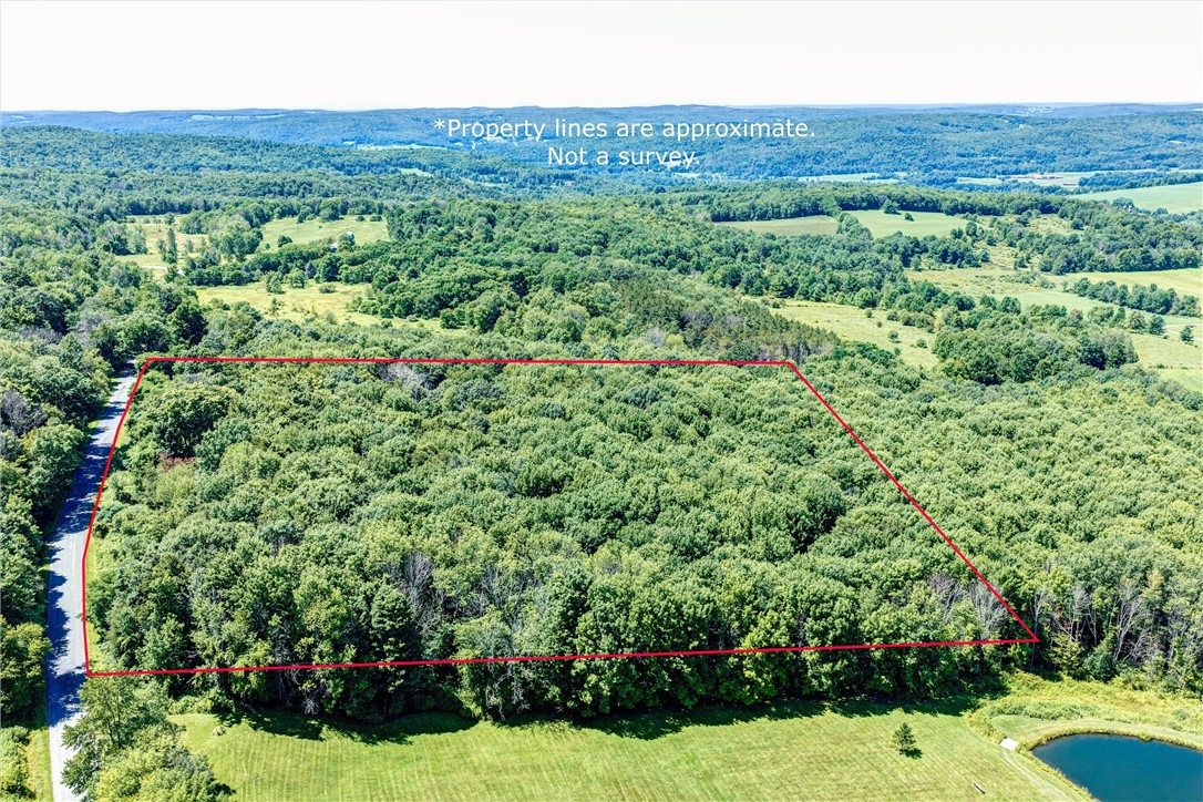 1593 Butternut Road Butternuts, NY 13849 - Photo 4 of 50 Gallery Image 4