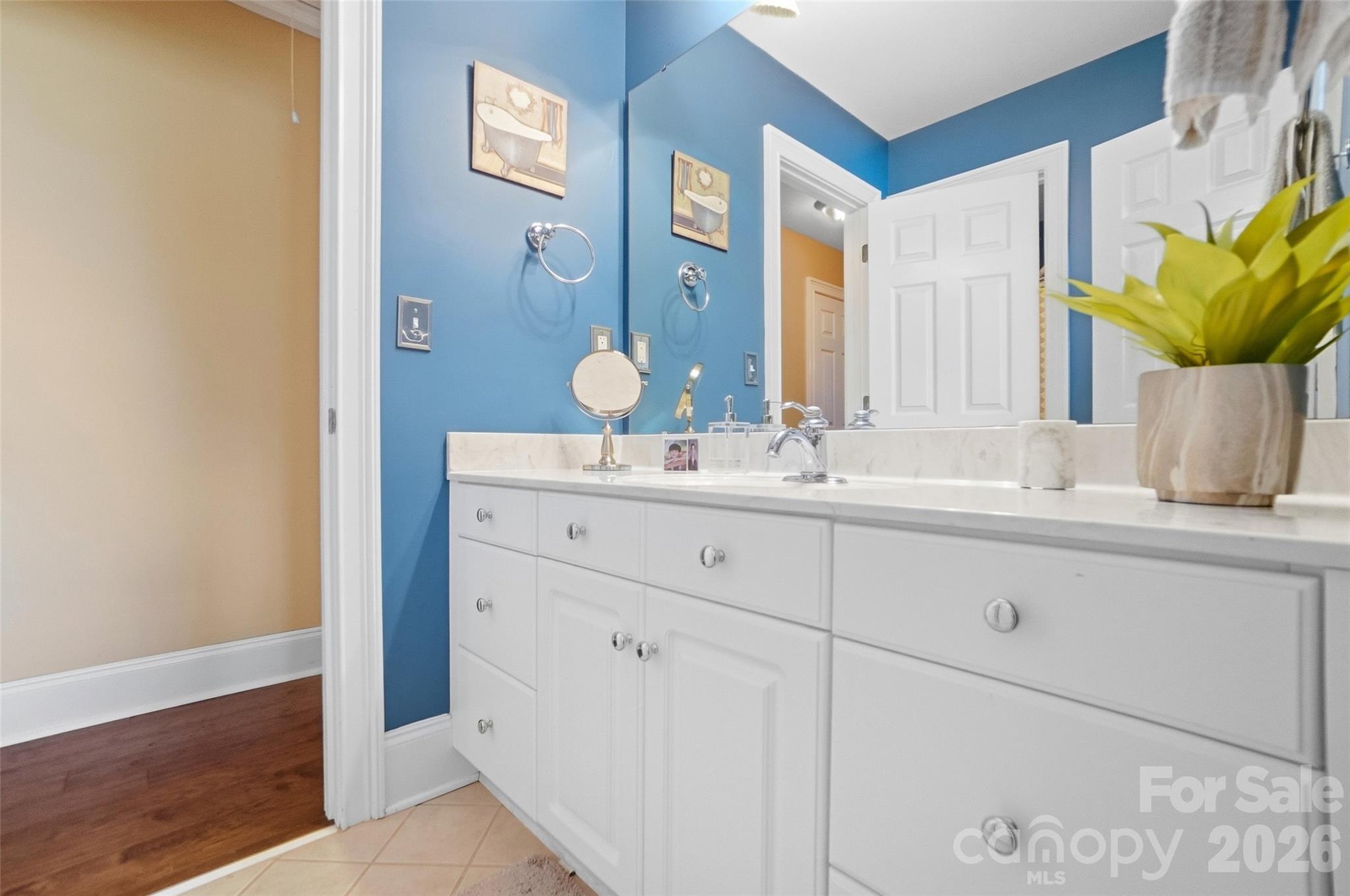 704 Mayfield Court Fort Mill, SC 29715 - Photo 32 of 48 a bathroom with a sink and a mirror