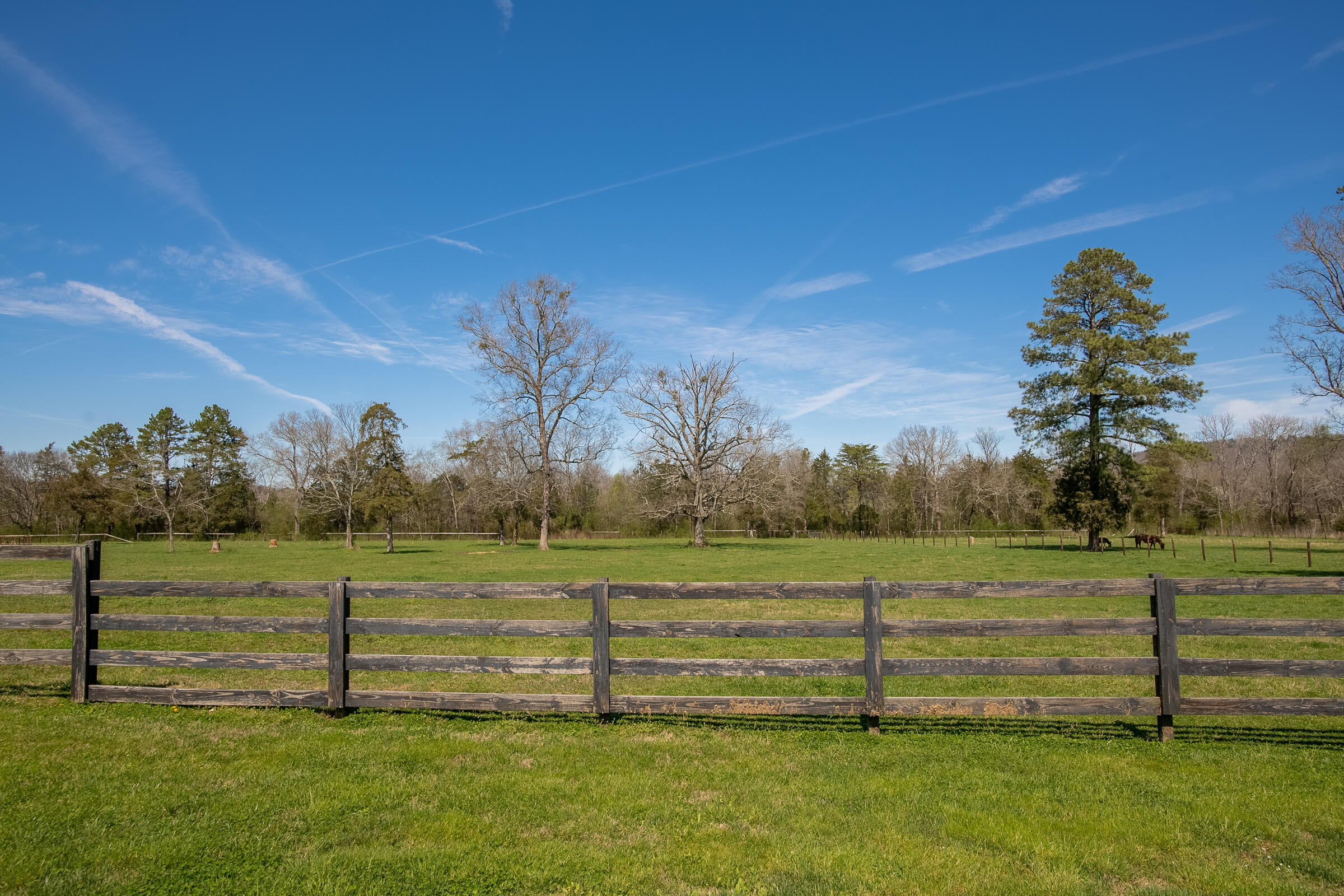 1408 Saunders Road Ringgold, GA 30736 - Photo 49 of 64 LEVEL & LUSH