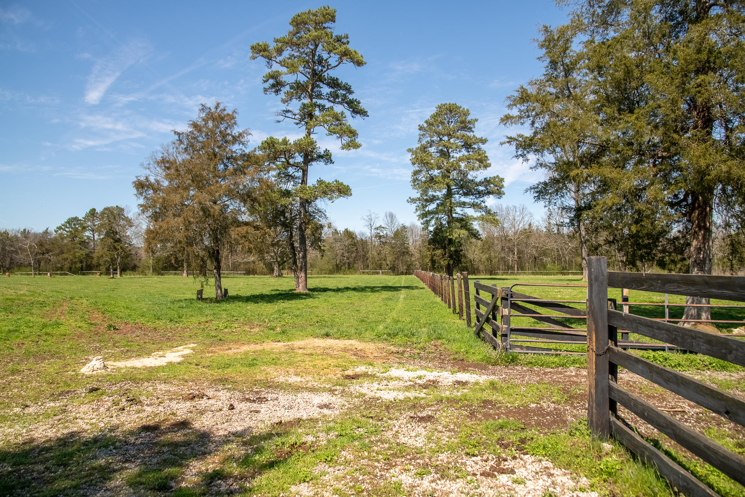 1408 Saunders Road Ringgold, GA 30736 - Photo 53 of 64 BEAUTIFUL PASTURE