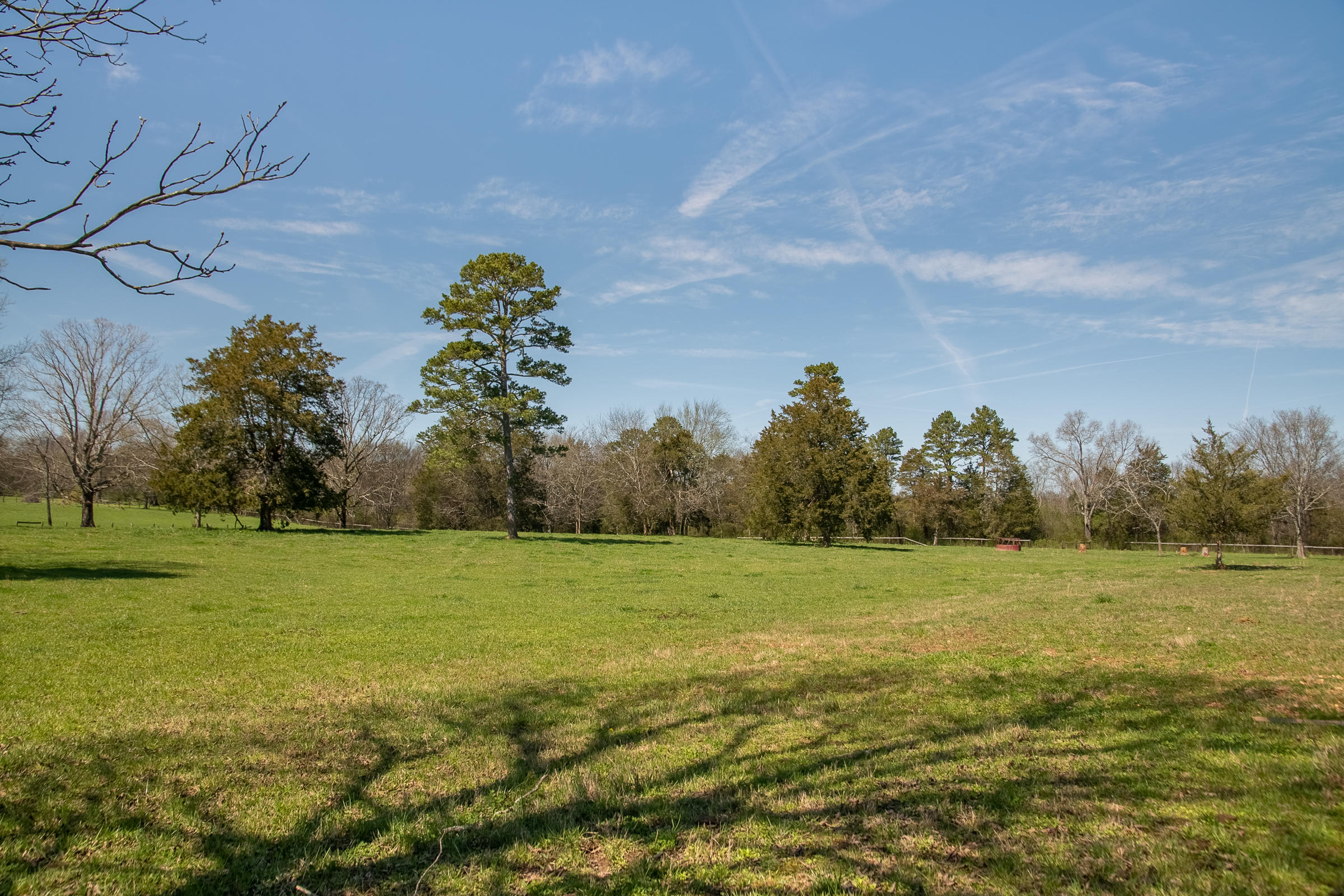 1408 Saunders Road Ringgold, GA 30736 - Photo 54 of 64 SERENE SETTING