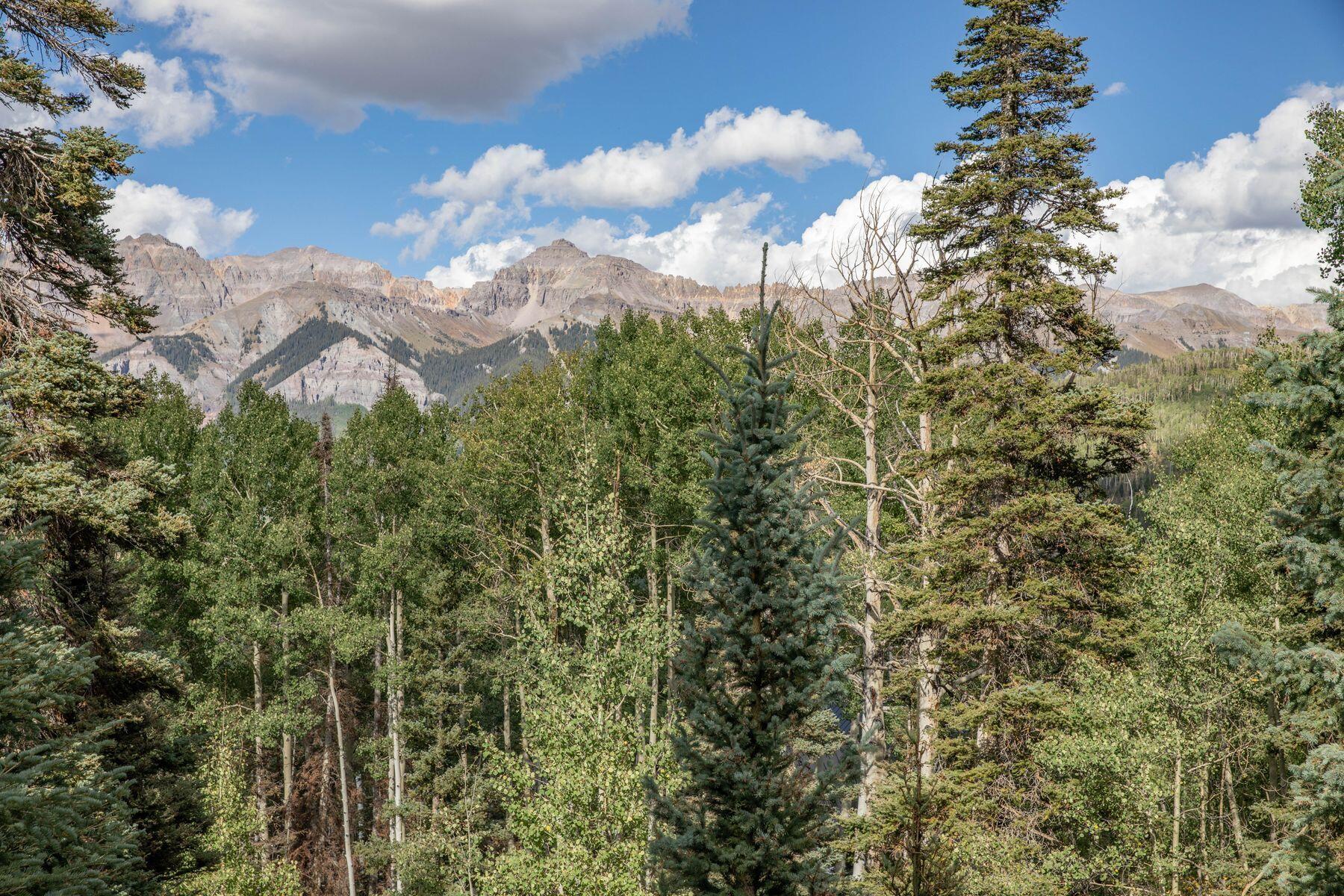 Lot 311 Benchmark Drive Telluride, CO 81435 - Photo 2 of 8 a view of a city