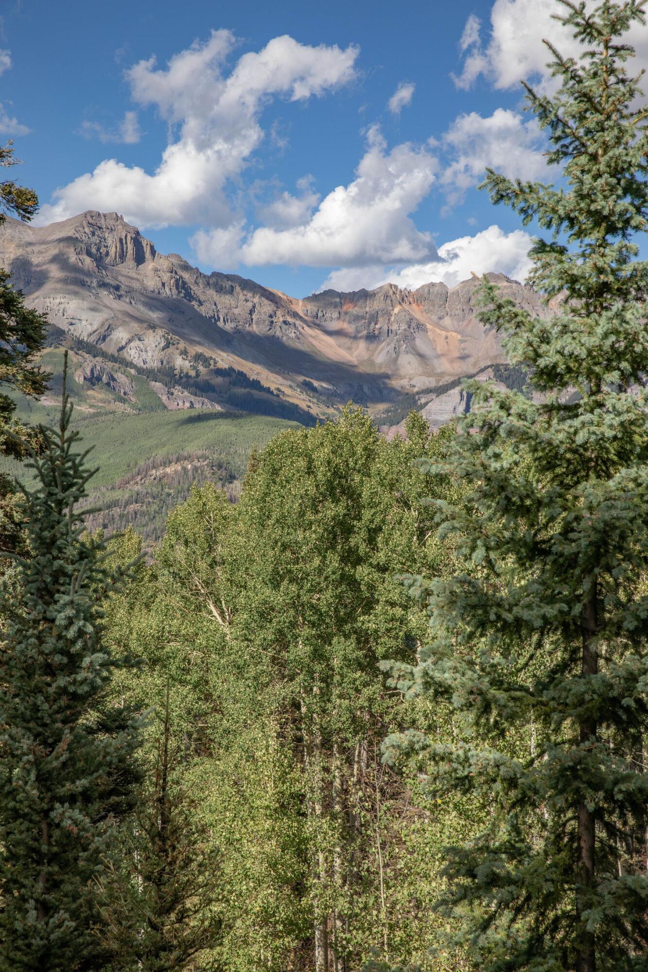 Lot 311 Benchmark Drive Telluride, CO 81435 - Photo 3 of 8 a view of a yard of a building