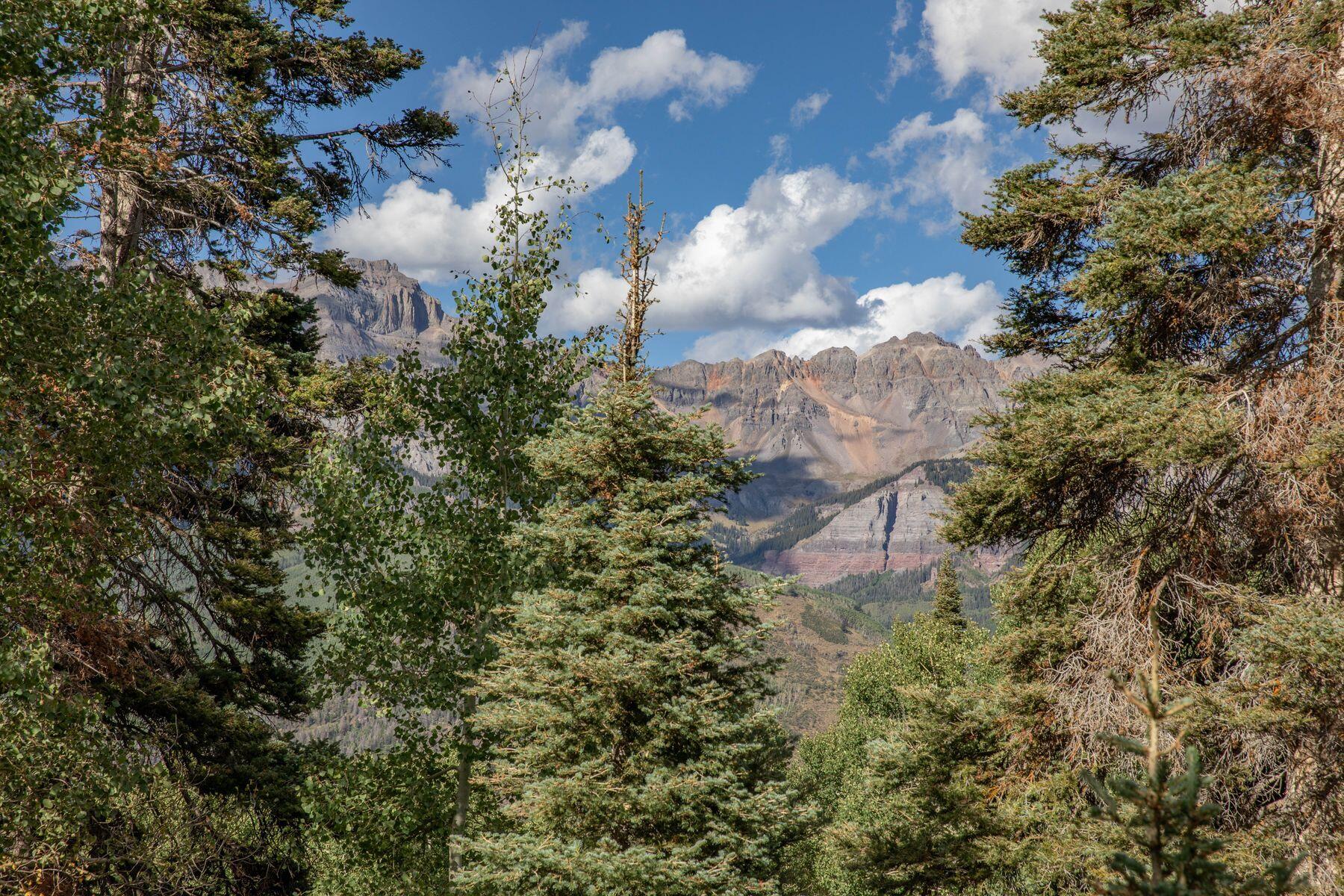 Lot 311 Benchmark Drive Telluride, CO 81435 - Photo 4 of 8 a view of a city of flower