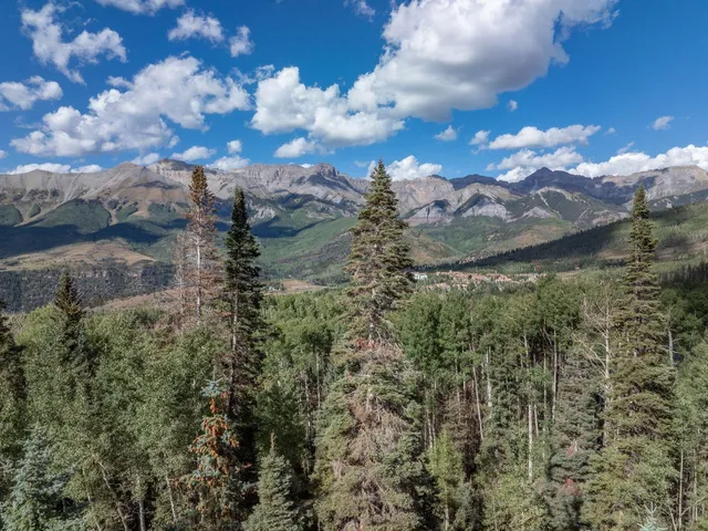 a view of a lake in middle of forest