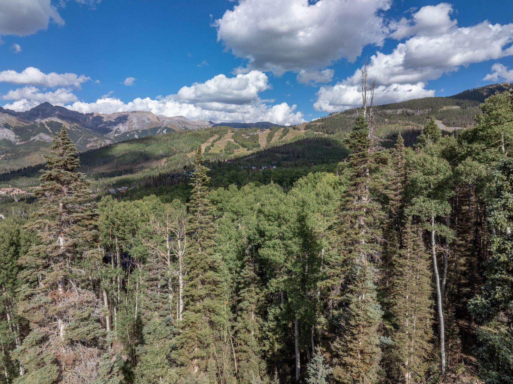 Lot 311 Benchmark Drive Telluride, CO 81435 - Photo 6 of 8 a view of a building