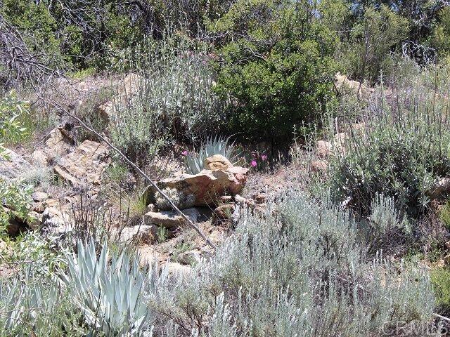 35950 Grapevine Canyon Road Ranchita, CA 92066 - Photo 19 of 25