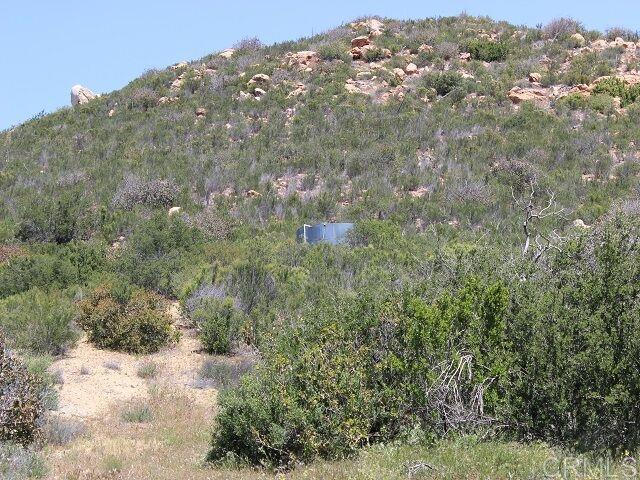 35950 Grapevine Canyon Road Ranchita, CA 92066 - Photo 21 of 25