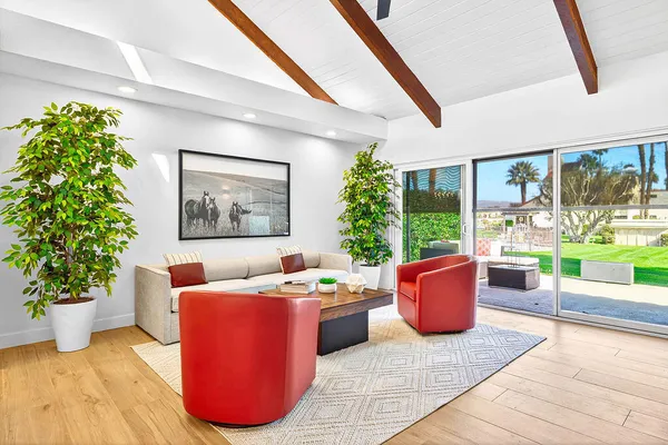 a living room with furniture and a potted plant