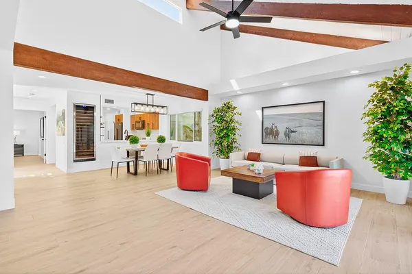 a living room with furniture and a potted plant