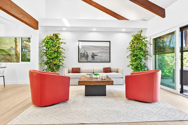 a living room with furniture and a potted plant