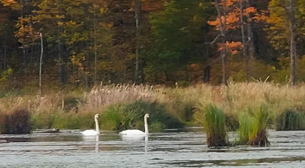 $273,000 | 56307 Loon Avenue, McGregor, MN 55760