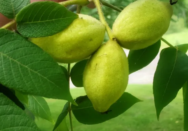 $273,000 | 56307 Loon Avenue, McGregor, MN 55760