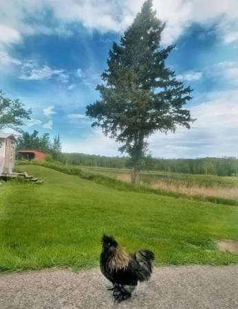 $273,000 | 56307 Loon Avenue, McGregor, MN 55760