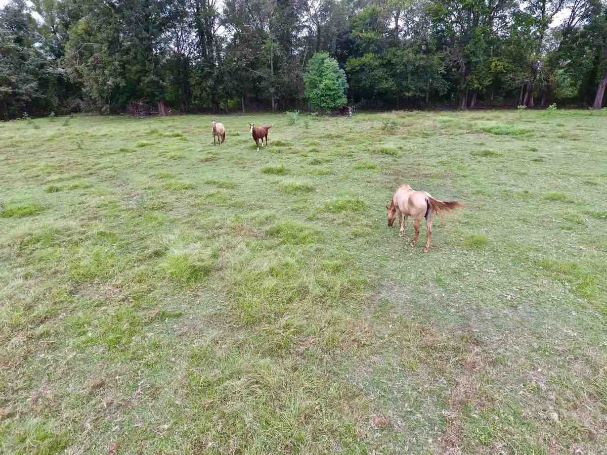 133 Glass Road Vicksburg, MS 39180 - Photo 2 of 6 Photo 2