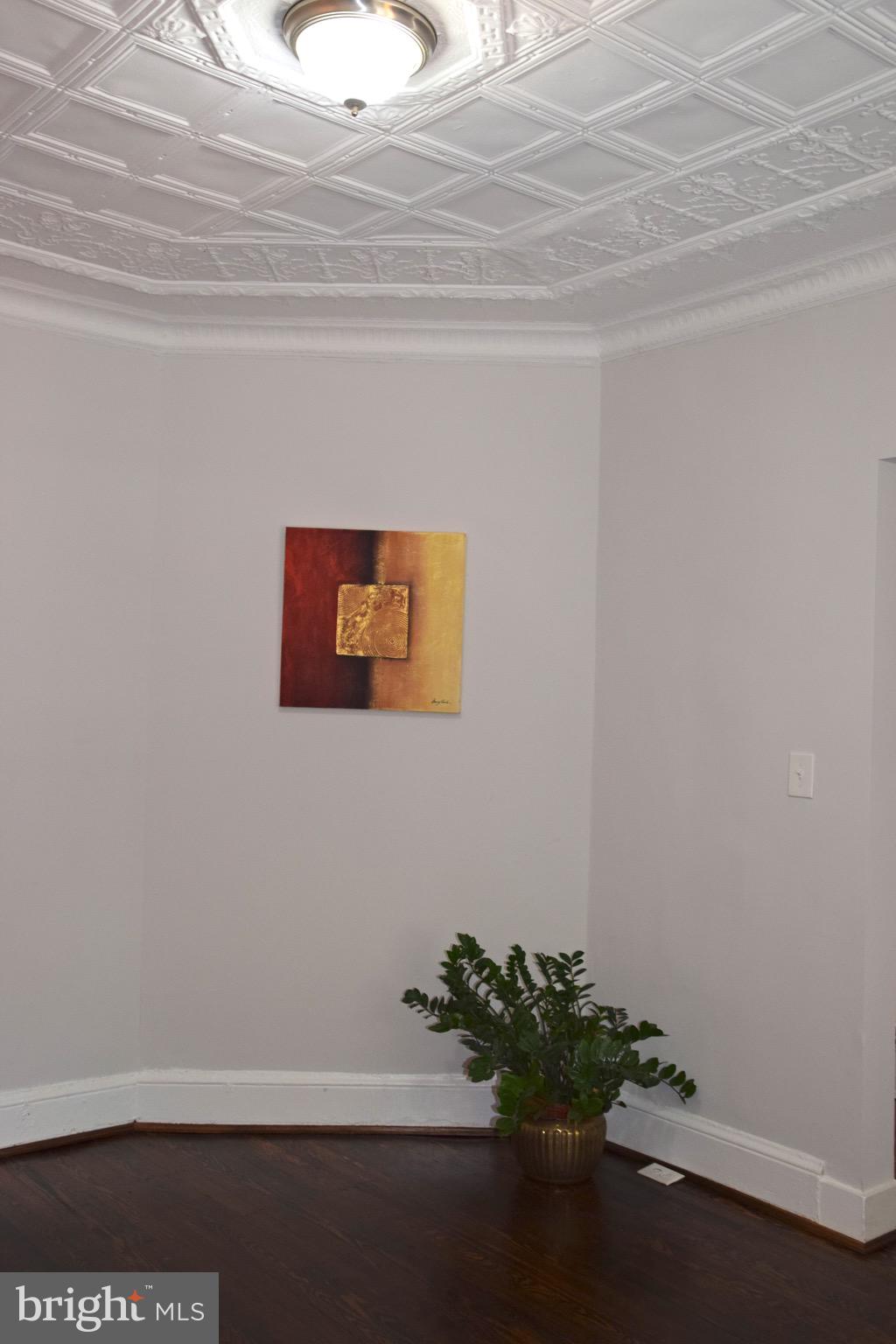 607 Columbia Road Northwest Washington, DC 20001 - Photo 15 of 48 Living room with elegant pressed tin ceiling