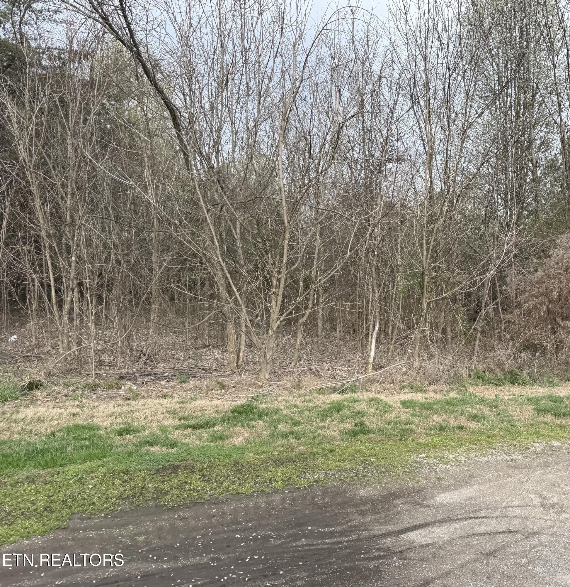 108 Raintree Lane Kingston, TN 37763 - Photo 1 of 2 Gallery Image 1