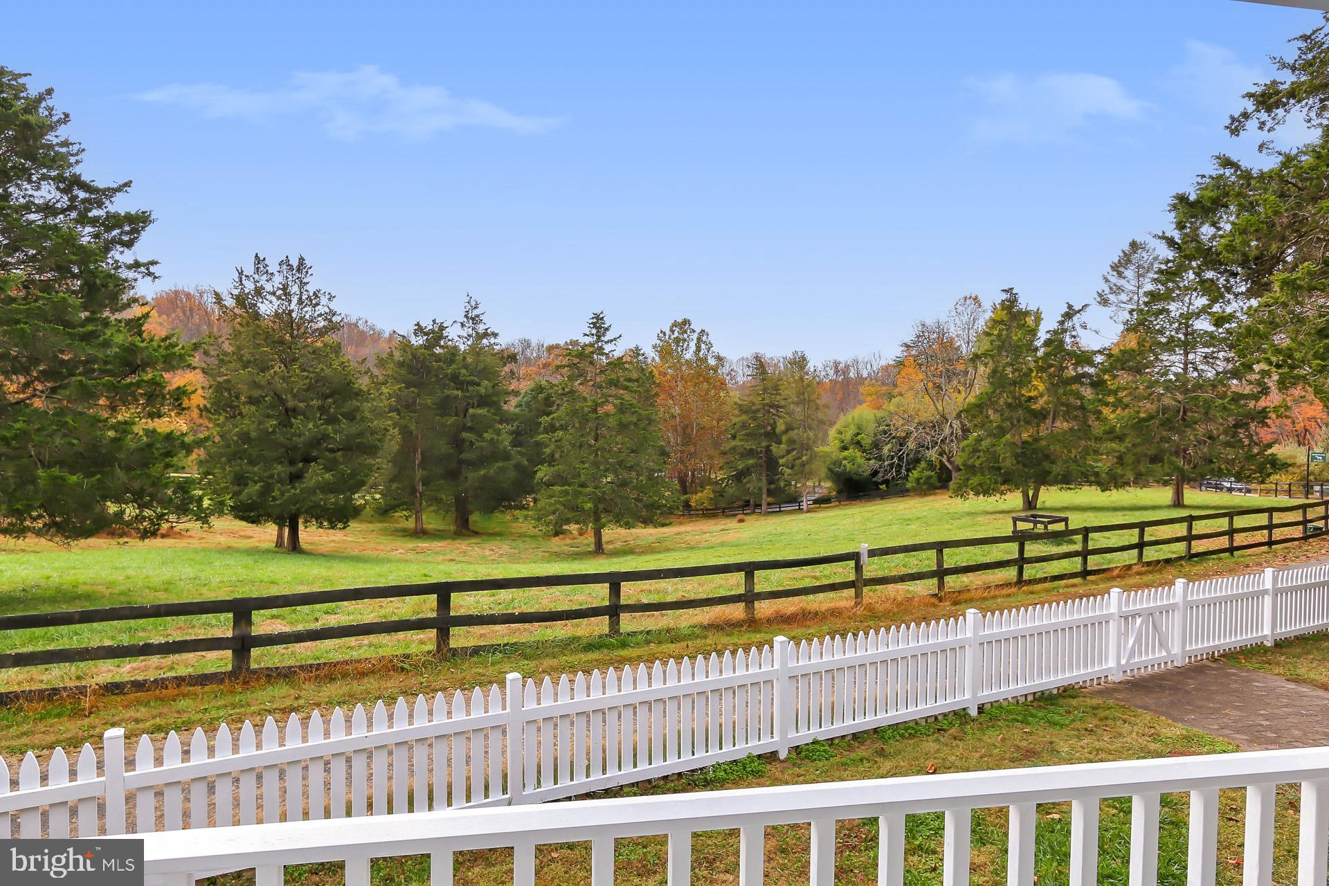 11208 West Montpelier Road Great Falls, VA 22066 - Photo 16 of 77 a view of a yard with a garden and trees