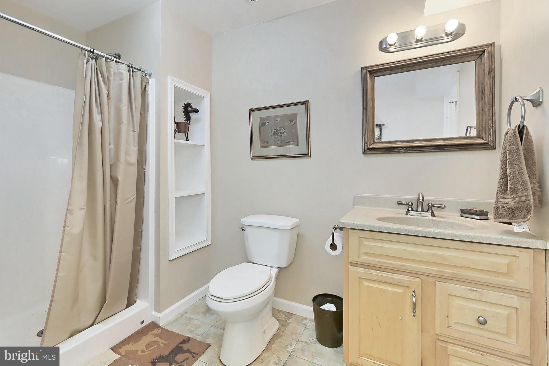 11208 West Montpelier Road Great Falls, VA 22066 - Photo 50 of 77 a bathroom with a toilet a sink and a mirror