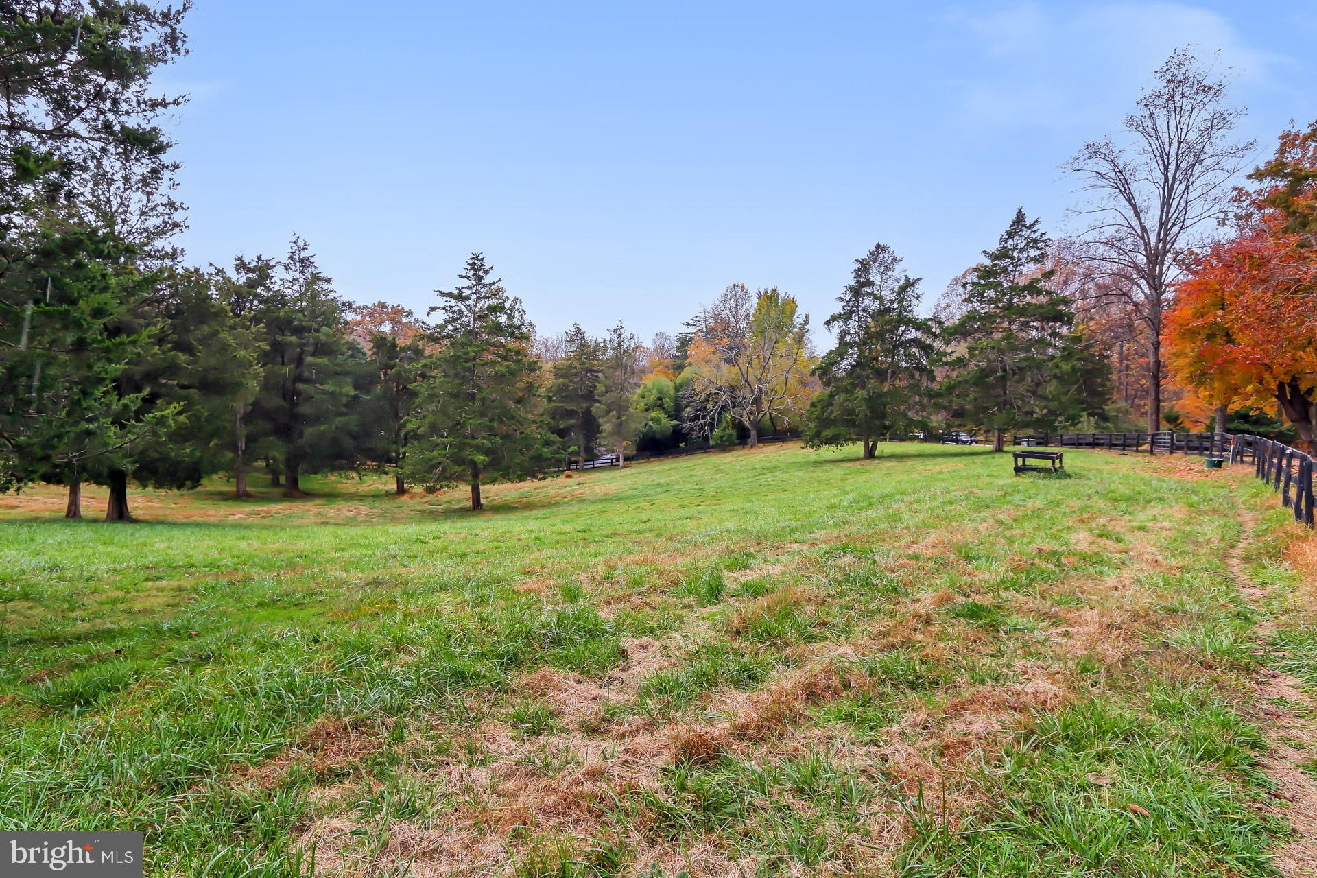 11208 West Montpelier Road Great Falls, VA 22066 - Photo 62 of 77 a view of a field with trees in the background