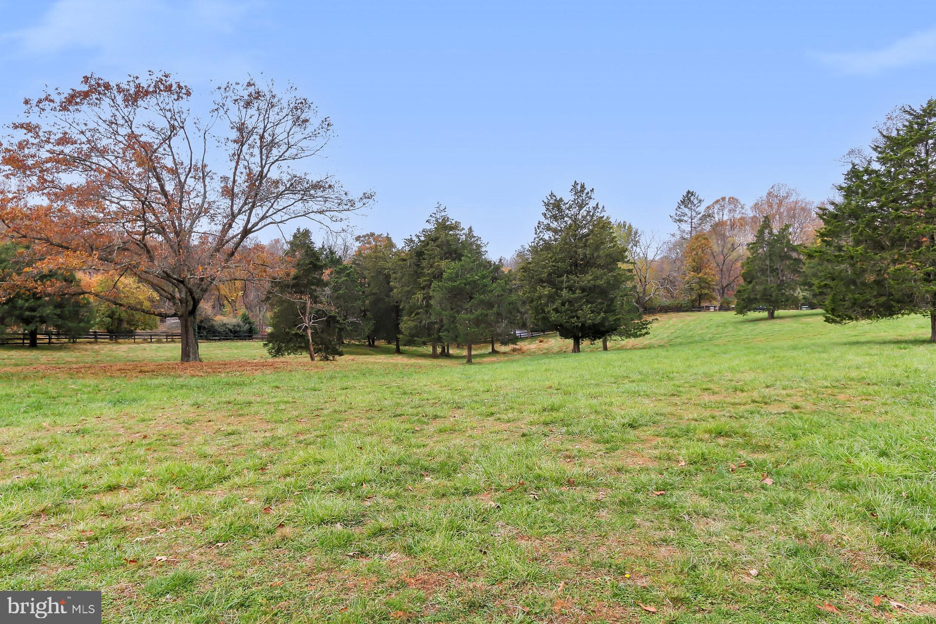 11208 West Montpelier Road Great Falls, VA 22066 - Photo 63 of 77 a backyard of a house with lots of green space