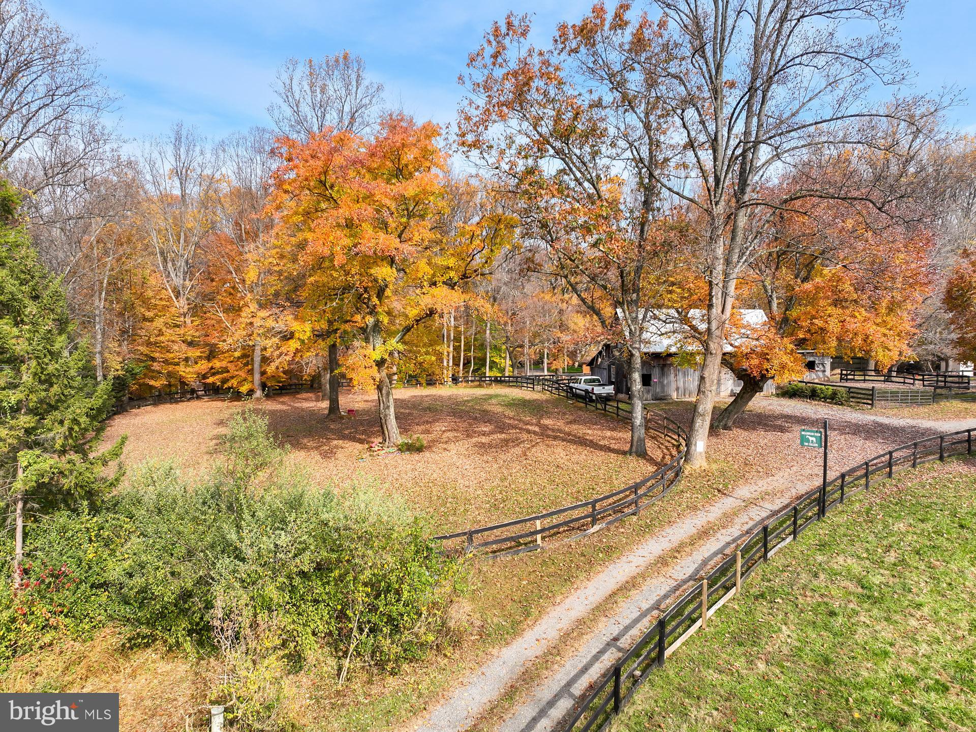 11208 West Montpelier Road Great Falls, VA 22066 - Photo 67 of 77 a view of yard with swimming pool