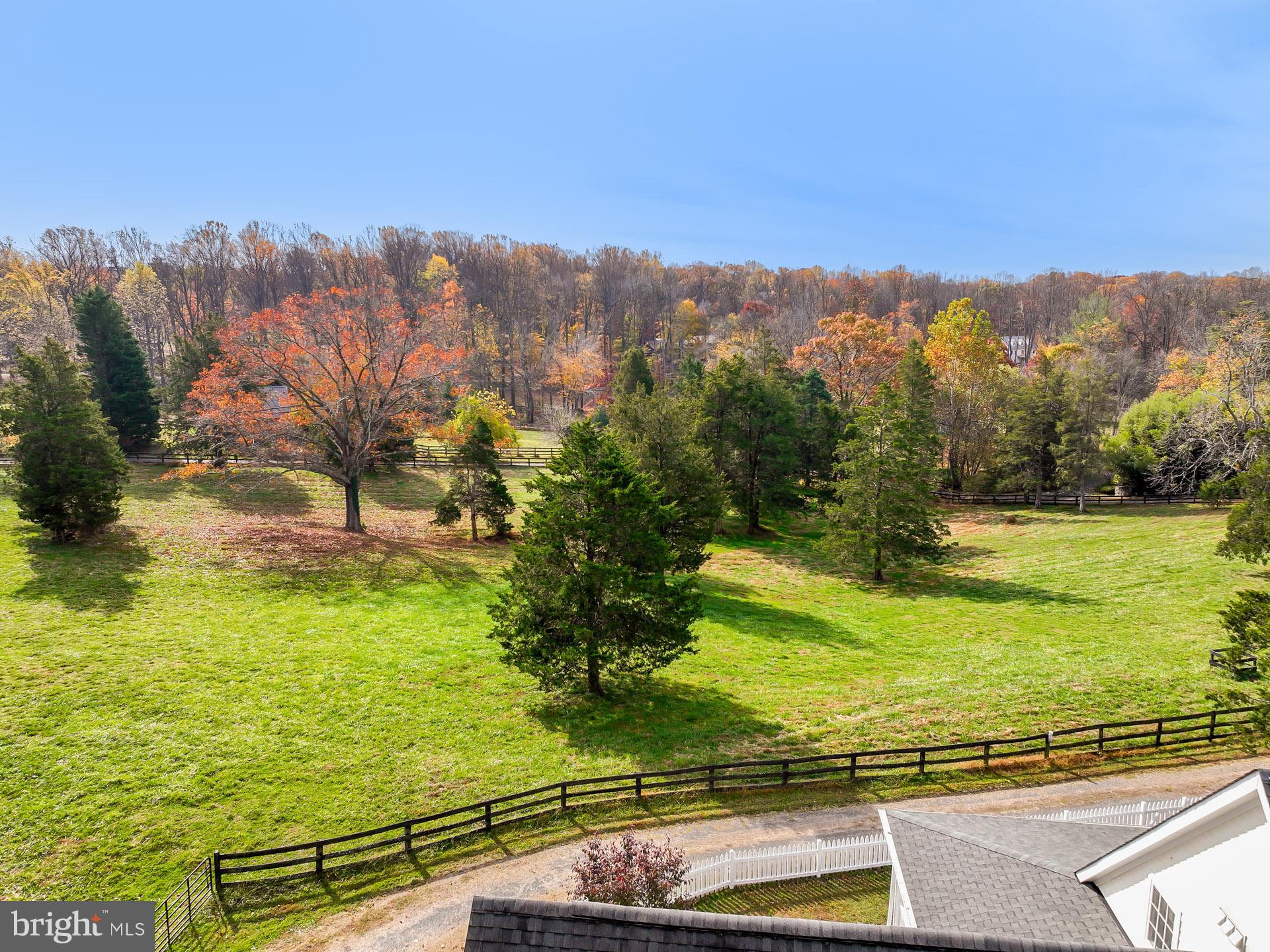 11208 West Montpelier Road Great Falls, VA 22066 - Photo 74 of 77 a view of a yard with ocean view