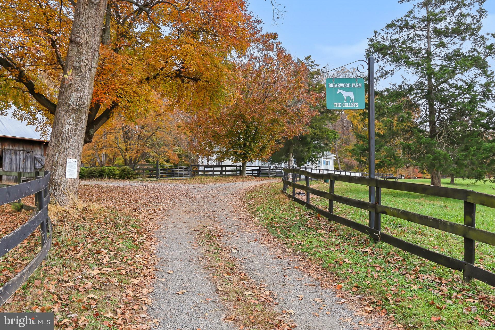 11208 West Montpelier Road Great Falls, VA 22066 - Photo 10 of 77 a view of street with houses