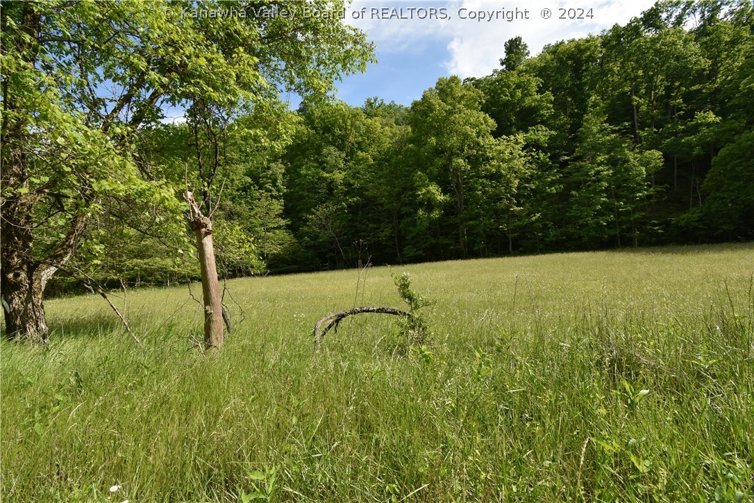 0 Weston Road Leon, WV 25123 - Photo 2 of 24 Gallery Image 2