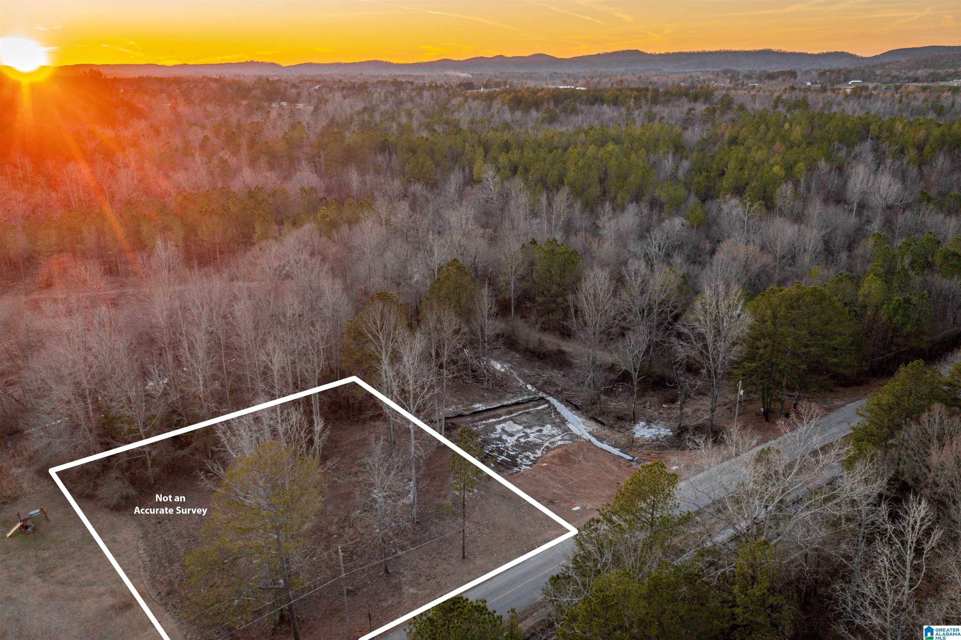 1845 Reads Mill Road, Unit 1 Wellington, AL 36279 - Photo 11 of 11
