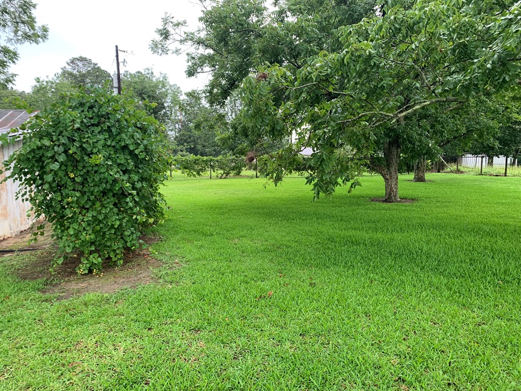 36 May Road Slocomb, AL 36375 - Photo 7 of 16