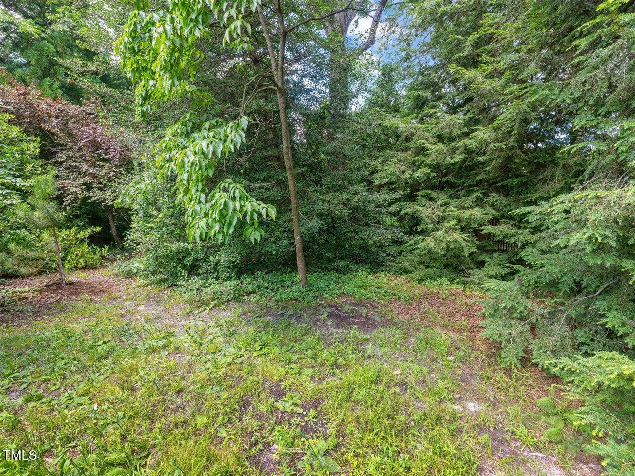 2400 Fairview Road Raleigh, NC 27608 - Photo 68 of 94 084-045-2400-2404-Fairview-20250617