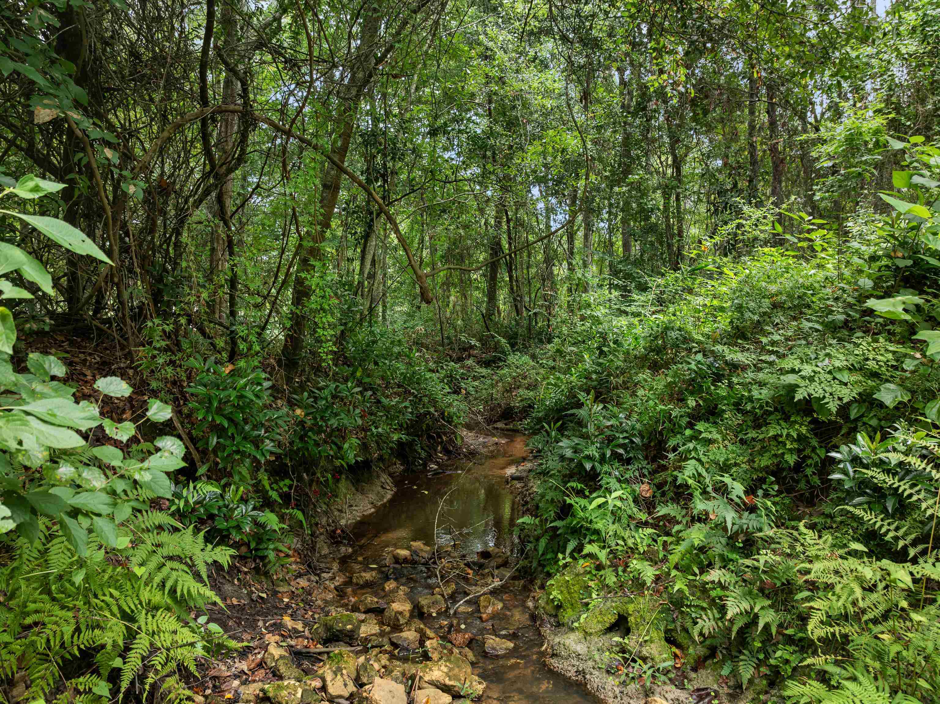 825 Rainey Run Monticello, FL 32344 - Photo 43 of 62